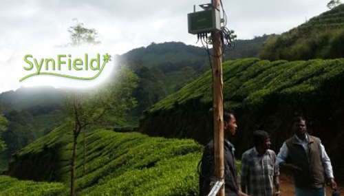 SynField Assists TATA in Coffee Diseases Prediction and Irrigation In Coorg, India