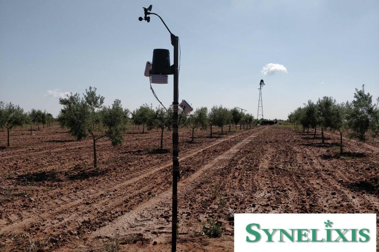 Additional SynField Installations In Toledo, Spain