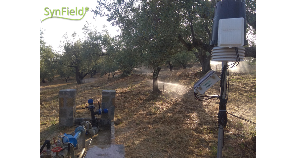 New SynField Installation in Messinia, Greece