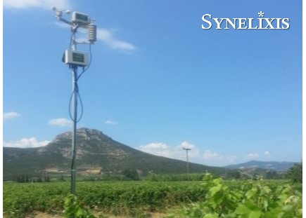New SynField node in Nemea, Greece
