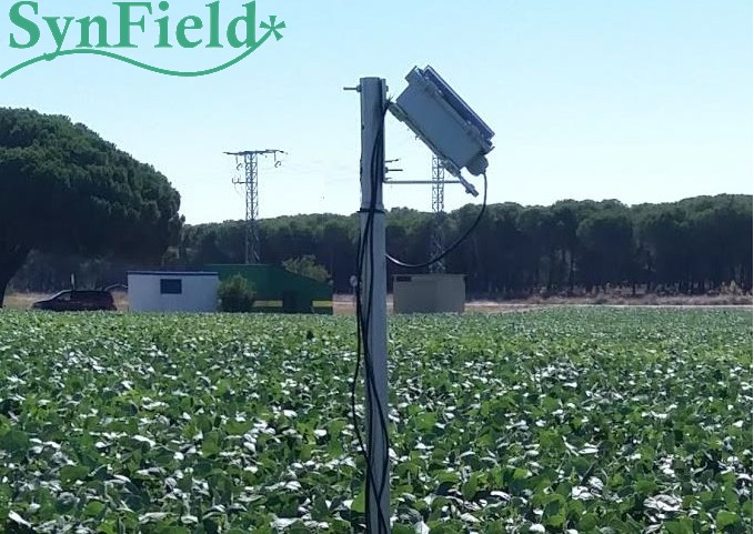 Optimal control of irrigation in cultivation of soybeans (Spain)