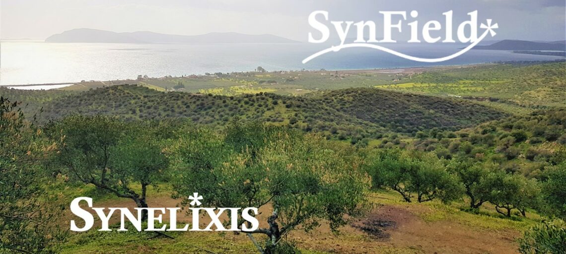 Implementation of precision agriculture solution SynField in Metochi, Argolidos