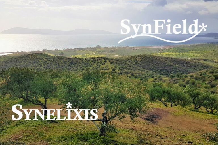 New SynField instalations in Argolida