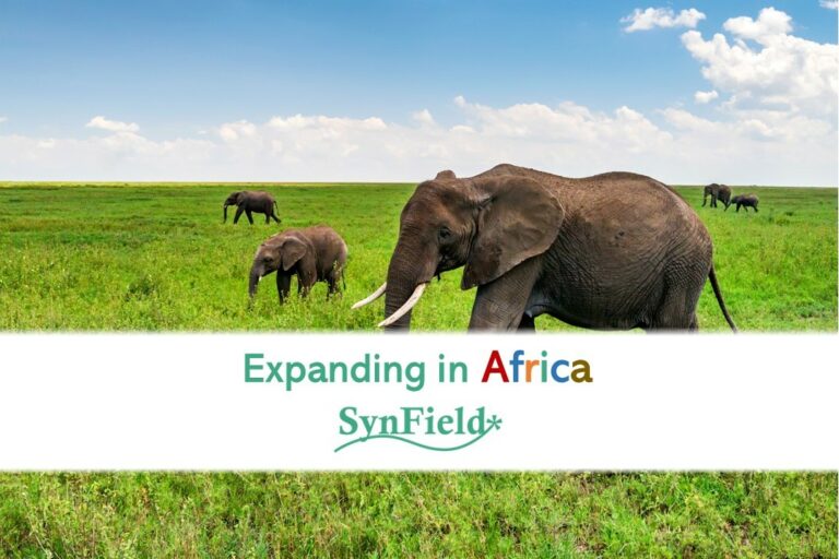 SynField is Expanding in Africa