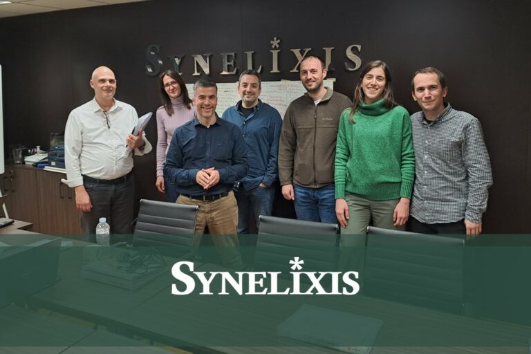 Expert-Led Seminar for Synelixis Team Leaders