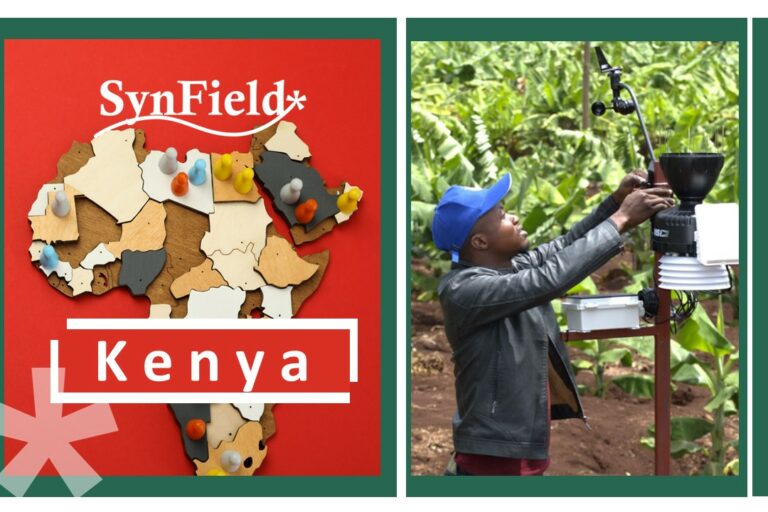 SynField revolutionize banana farming in Kenya